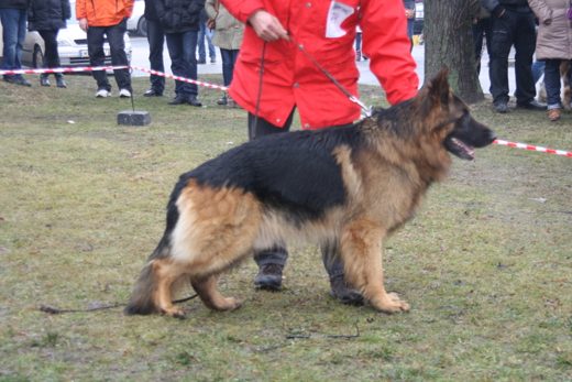 Jarosław — 2013 — zdjęcie 26