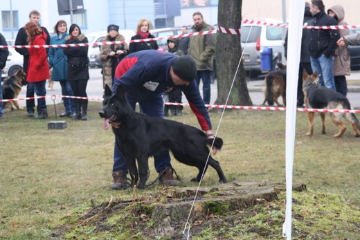Jarosław — 2013 — zdjęcie 51
