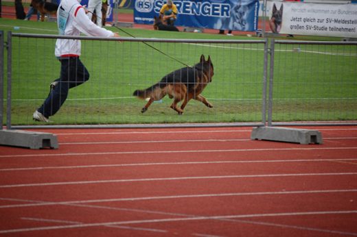 Wystawa światowa ON 2012 — zdjęcie 29