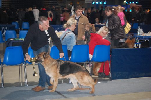 Rzeszów — 2013 — zdjęcie 4