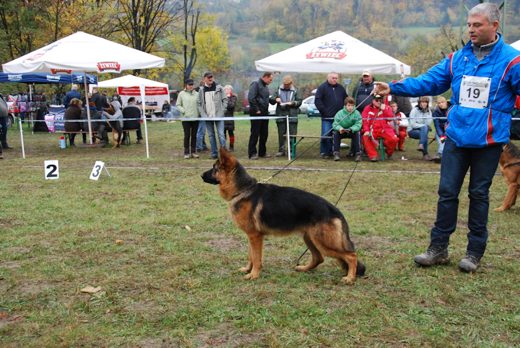 Czchów – Zapora — 2012 — zdjęcie 60
