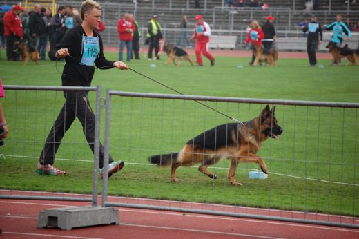 Wystawa światowa ON 2012 — zdjęcie 65