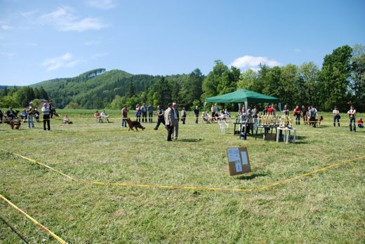 Jaworze k. Bielska-Białej — 2012 — zdjęcie 19