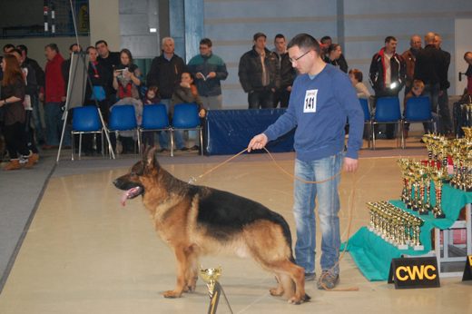 Rzeszów — 2013 — zdjęcie 54