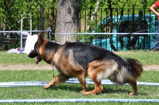 Łódź — 2012 — zdjęcie 93