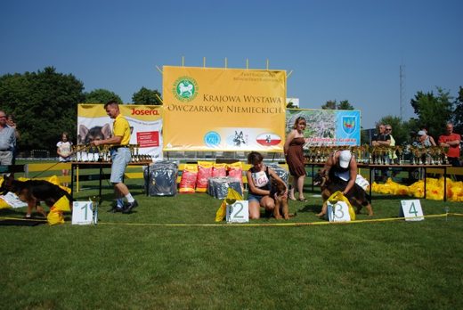Grajewo — 2012 — zdjęcie 9