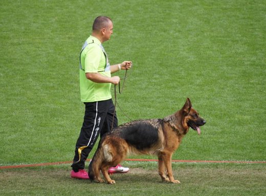 Wystawa światowa ON 2011 — zdjęcie 215