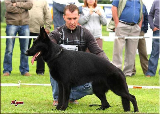 Krasnystaw — 2012 — zdjęcie 102