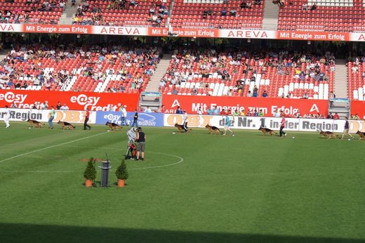 Wystawa światowa ON 2011 — zdjęcie 146