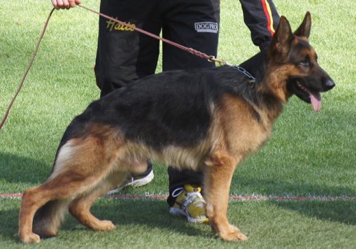 Wystawa światowa ON 2011 — zdjęcie 1