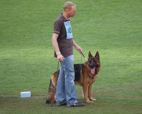 Wystawa światowa ON 2011 — zdjęcie 25