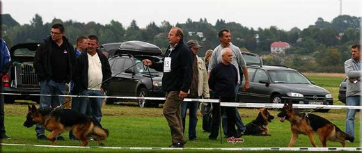 Krasnystaw — 2012 — zdjęcie 108