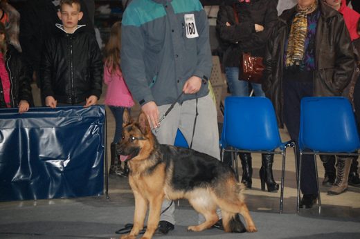 Rzeszów — 2013 — zdjęcie 28