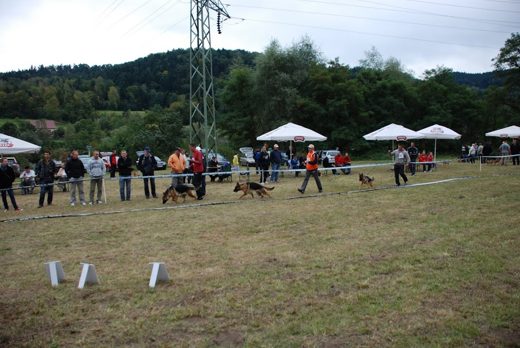 Czchów – Zapora — 2012 — zdjęcie 39