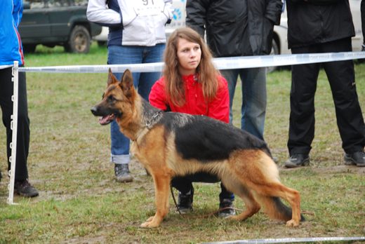 Czchów – Zapora — 2012 — zdjęcie 71