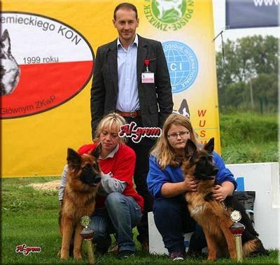 Krasnystaw — 2012 — zdjęcie 125