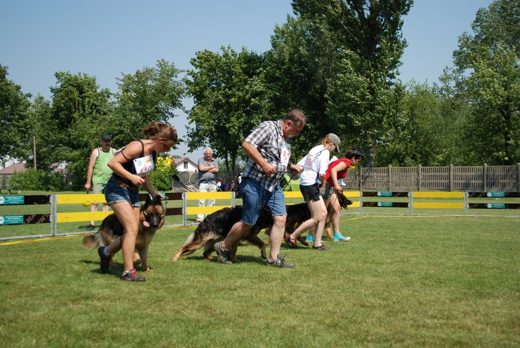 Grajewo — 2012 — zdjęcie 6