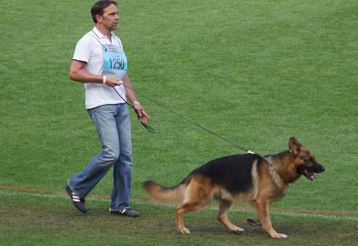 Wystawa światowa ON 2011 — zdjęcie 126
