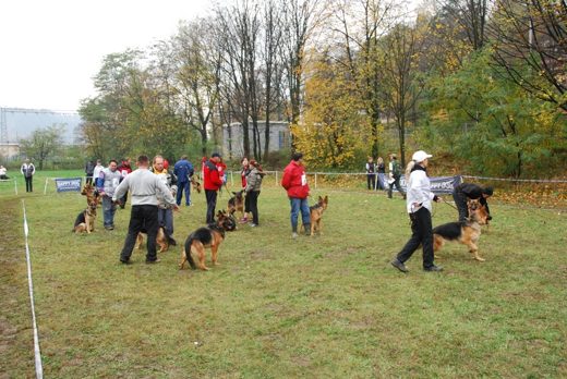 Czchów – Zapora — 2012 — zdjęcie 78