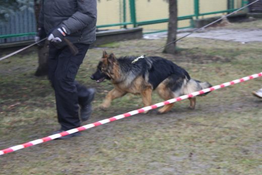 Jarosław — 2013 — zdjęcie 19