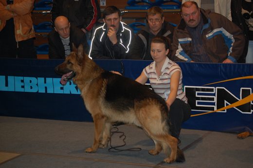 Rzeszów — 2013 — zdjęcie 52