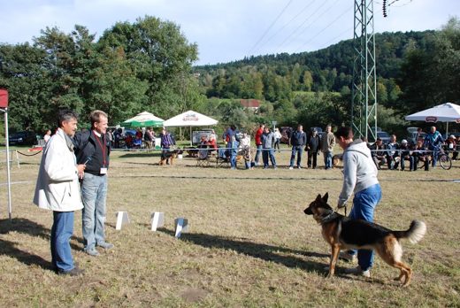 Czchów – Zapora — 2012 — zdjęcie 7