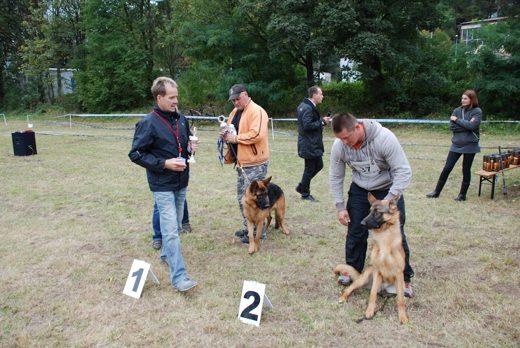 Czchów – Zapora — 2012 — zdjęcie 34