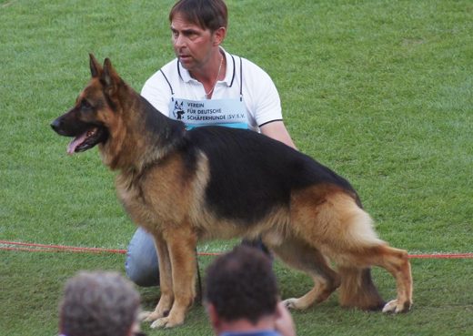 Wystawa światowa ON 2011 — zdjęcie 128
