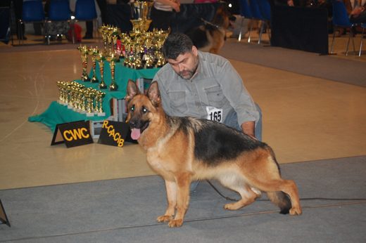 Rzeszów — 2013 — zdjęcie 38