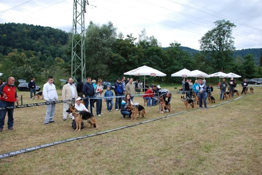 Czchów – Zapora — 2012 — zdjęcie 15