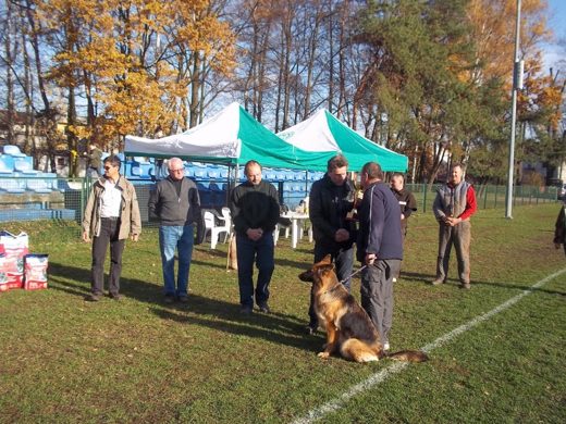 Mistrzostwa IPO ON 2012 — zdjęcie 33