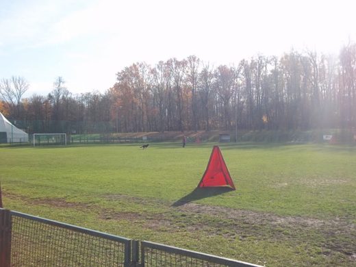 Mistrzostwa IPO ON 2012 — zdjęcie 78