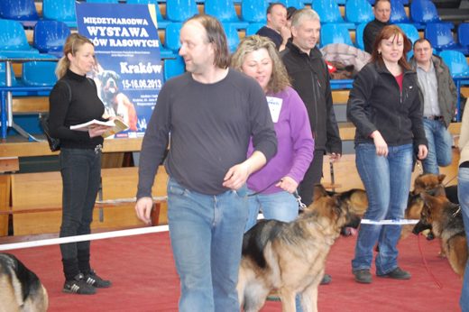 Katowice — 2013 — zdjęcie 18