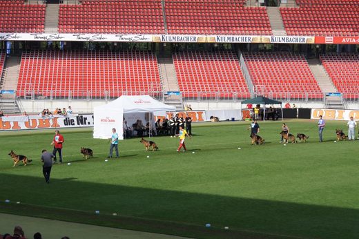 Wystawa światowa ON 2011 — zdjęcie 158