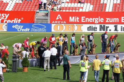 Wystawa światowa ON 2011 — zdjęcie 219