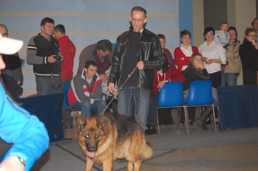 Rzeszów — 2013 — zdjęcie 71