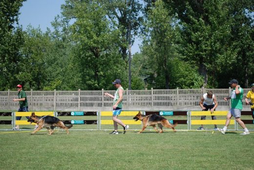 Grajewo — 2012 — zdjęcie 3