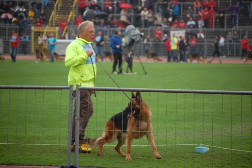 Wystawa światowa ON 2012 — zdjęcie 59