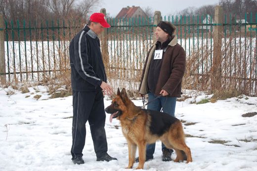 Zabrze — 2013 — zdjęcie 17