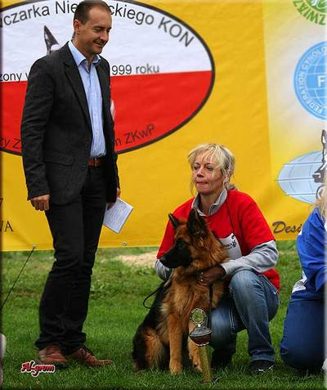 Krasnystaw — 2012 — zdjęcie 127