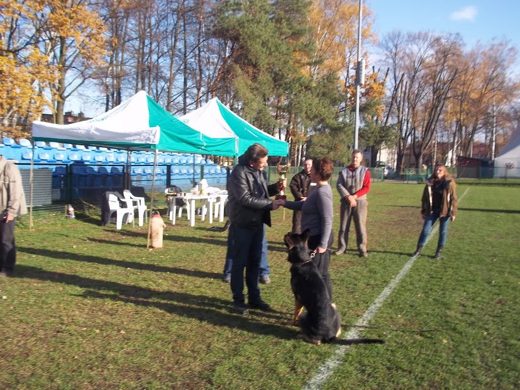 Mistrzostwa IPO ON 2012 — zdjęcie 27