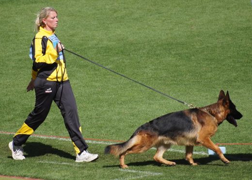 Wystawa światowa ON 2011 — zdjęcie 4