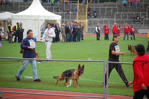 Wystawa światowa ON 2012 — zdjęcie 79
