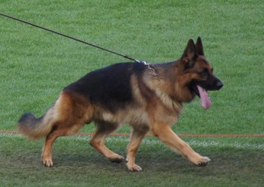 Wystawa światowa ON 2011 — zdjęcie 134