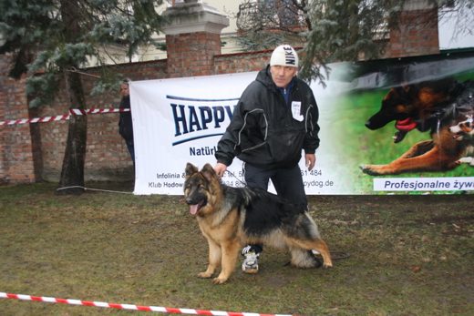 Jarosław — 2013 — zdjęcie 12