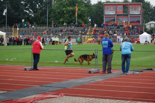 Wystawa światowa ON 2012 — zdjęcie 43