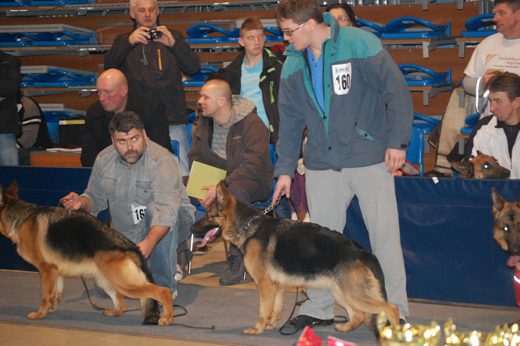 Rzeszów — 2013 — zdjęcie 21