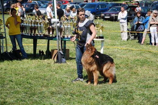Jaworze k. Bielska-Białej — 2012 — zdjęcie 9