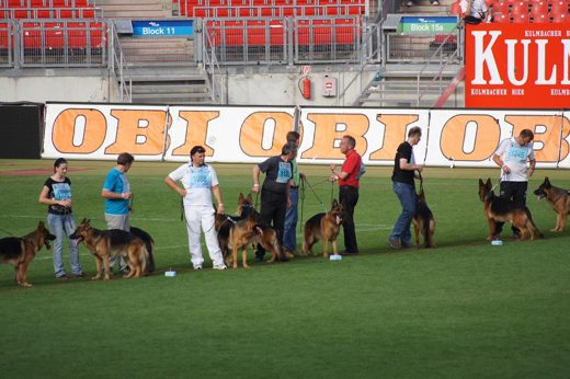Wystawa światowa ON 2011 — zdjęcie 154
