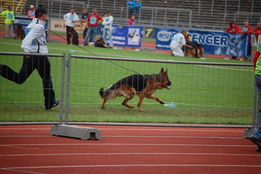 Wystawa światowa ON 2012 — zdjęcie 30